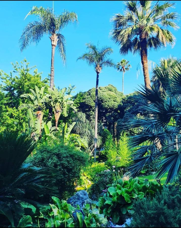 For 2 Few Steps From Casino Monte Carlo And *